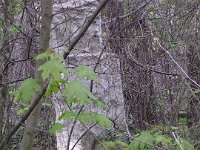 09-19 Botfai Hüvös Róbert